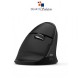 7043 Ergonomic Bluetooth Wireless Mouse